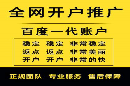 SEM代理服务：提升广告投放效果